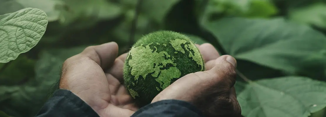 A man's hands hold a green earth